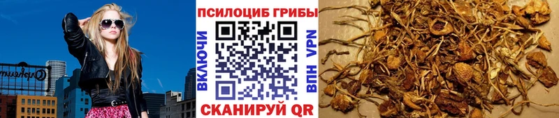 Галлюциногенные грибы MAGIC MUSHROOMS  где продают наркотики  Пикалёво 